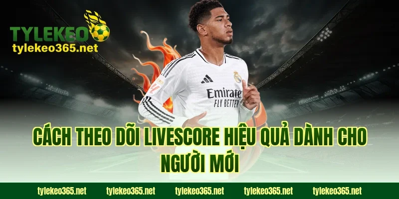 Cách theo dõi Livescore hiệu quả dành cho người mới