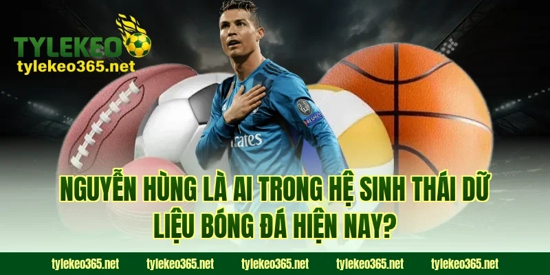 Nguyễn Hùng là ai trong hệ sinh thái dữ liệu bóng đá hiện nay?