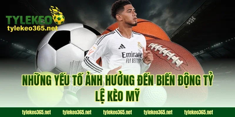 Những yếu tố ảnh hưởng đến biến động tỷ lệ kèo Mỹ