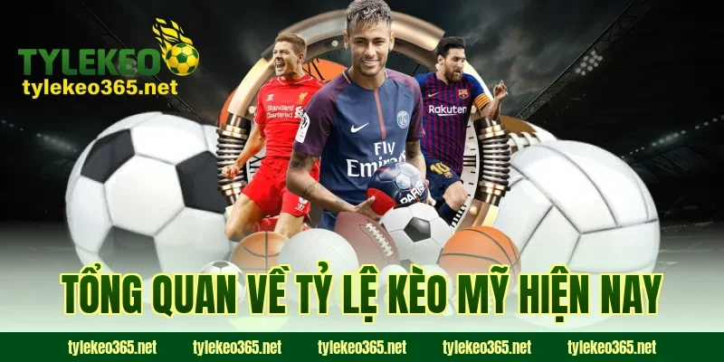 Tổng quan về tỷ lệ kèo Mỹ hiện nay