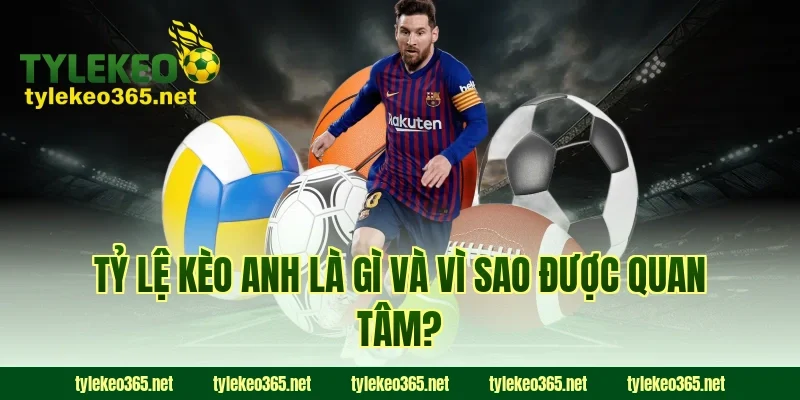 Tỷ lệ kèo Anh là gì và vì sao được quan tâm?