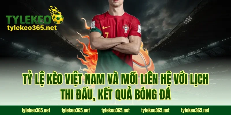 Tỷ lệ kèo Việt Nam và mối liên hệ với lịch thi đấu, kết quả bóng đá
